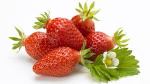 Fraises 2013