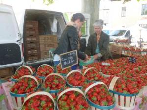 Fête fraise 2014-8
