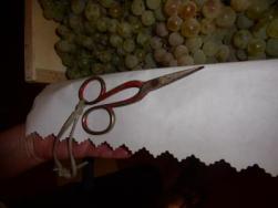 ciseaux_P1030522