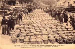 marche_avec_les_billots_sepia